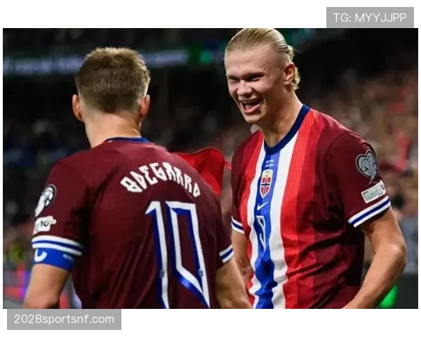 哈兰德与C罗的进球效率对比：终结方式如何影响得分表现