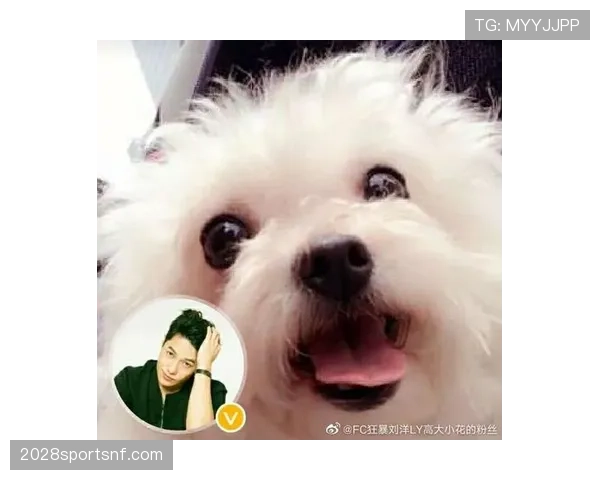 刘洋家的狗都比我会理财